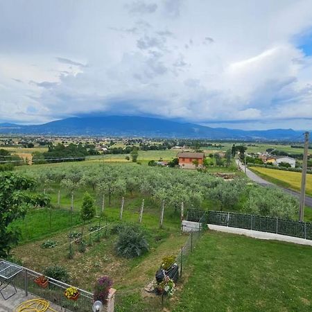 Delizioso Appartamento Collinare Limigiano Extérieur photo