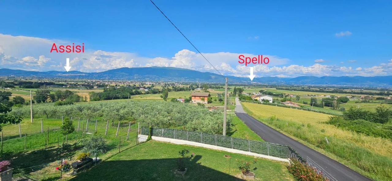 Delizioso Appartamento Collinare Limigiano Extérieur photo