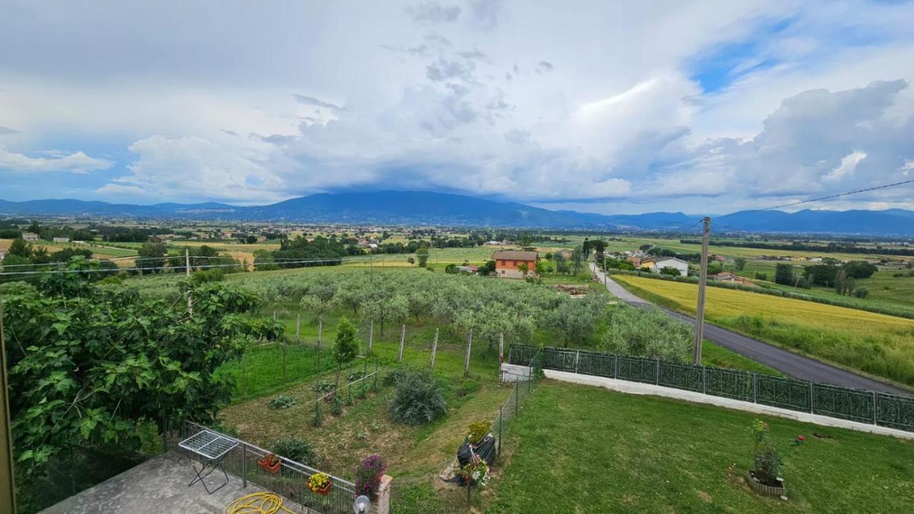 Delizioso Appartamento Collinare Limigiano Extérieur photo